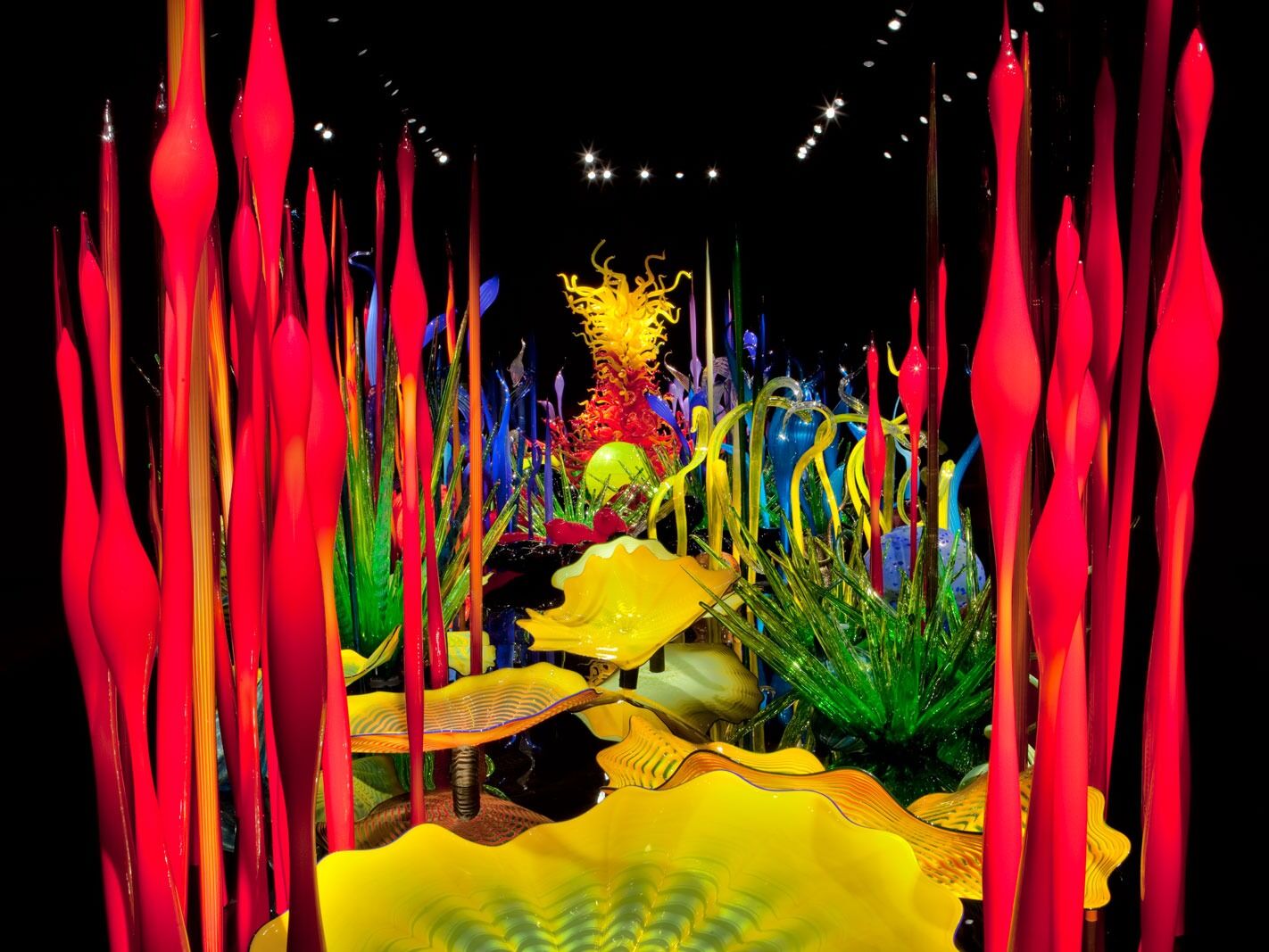 Picture of 12. Chihuly Garden And Glass Museum