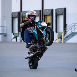 Gallery Photo 9