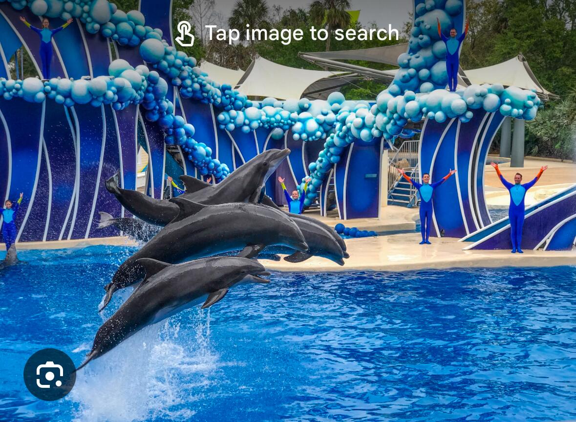 Picture of SeaWorld 