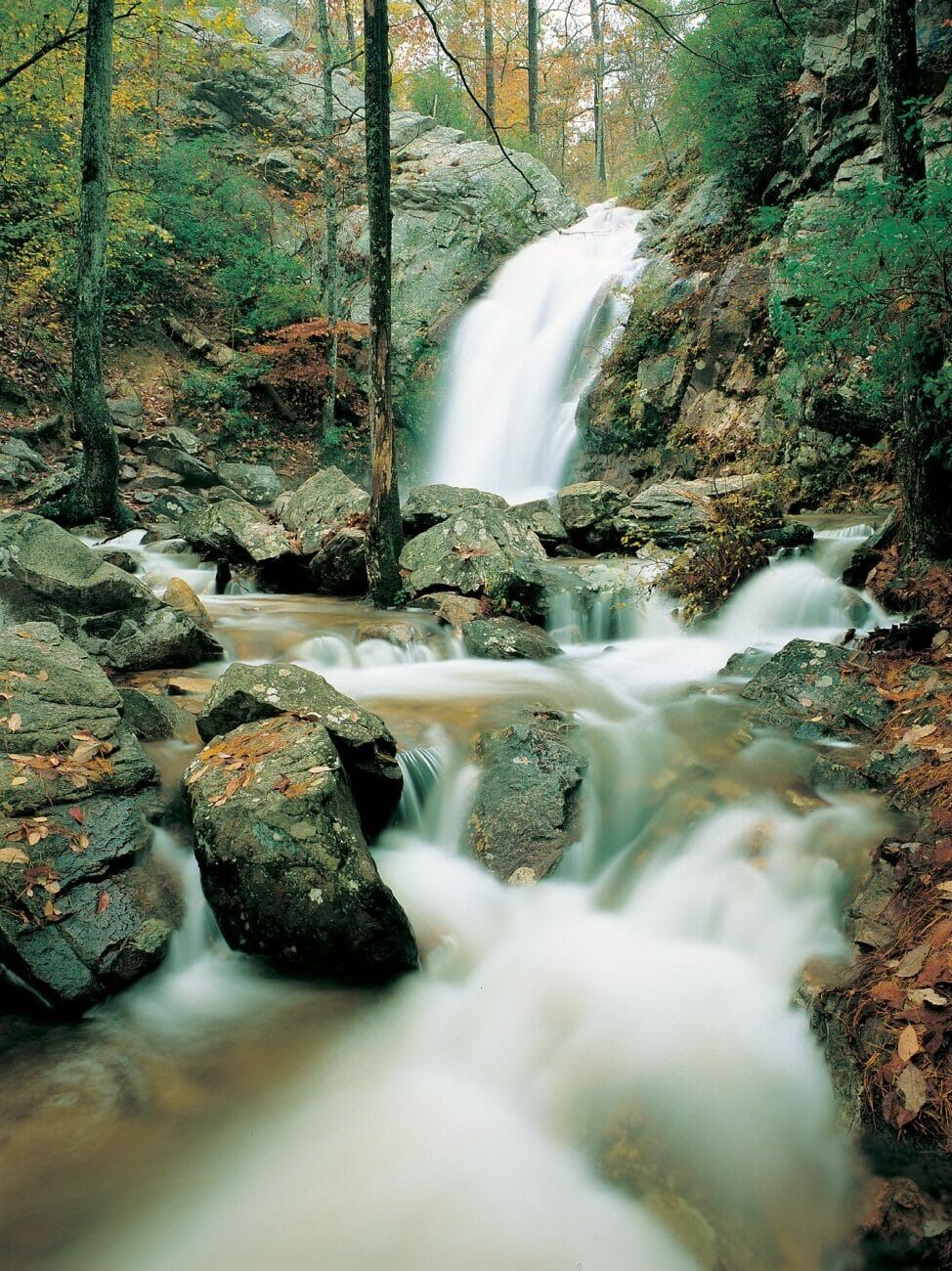 Picture of Oak Mountain State Park