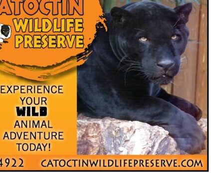 Picture of Catoctin Wildlife Preserve