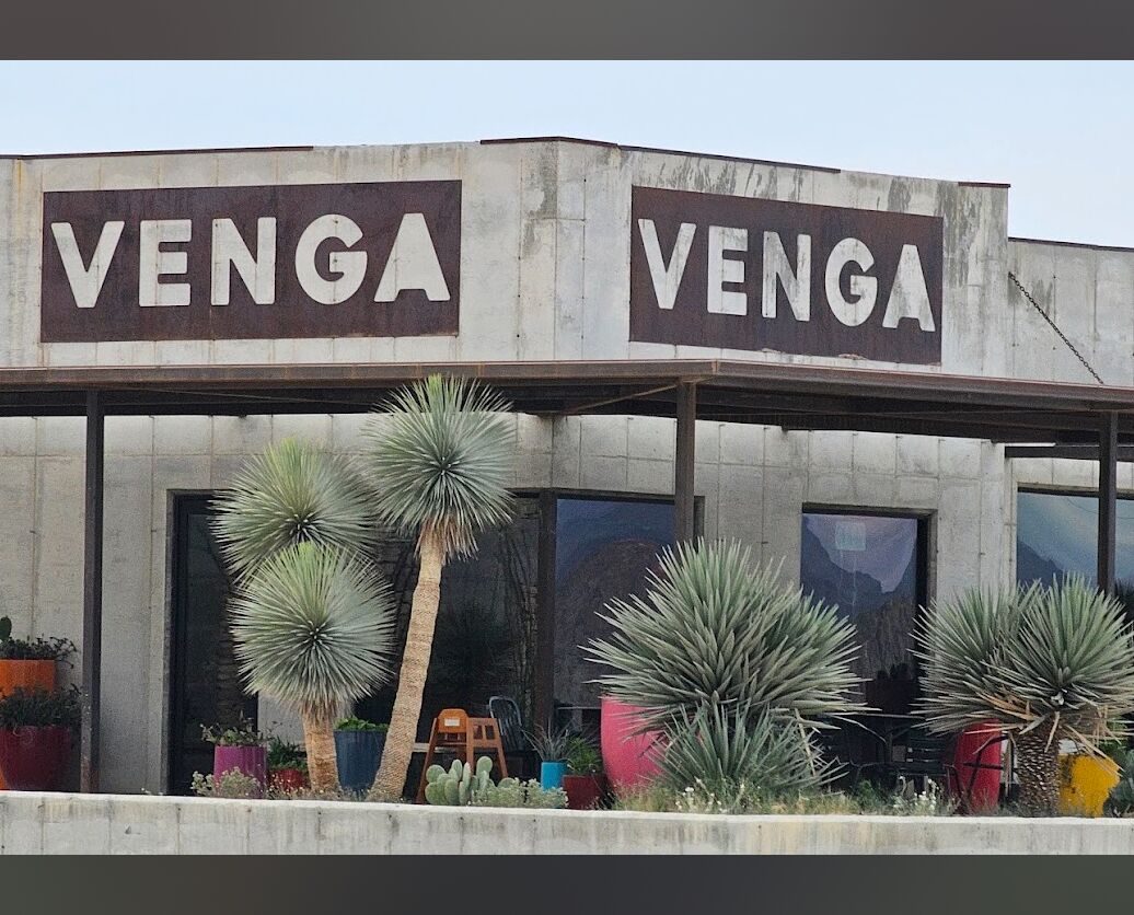 Picture of Venga