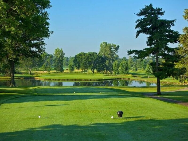 Picture of The Golf Club at Swan Lake Resort