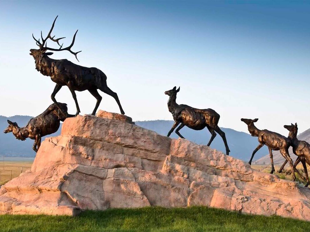Picture of National Museum of Wildlife Art