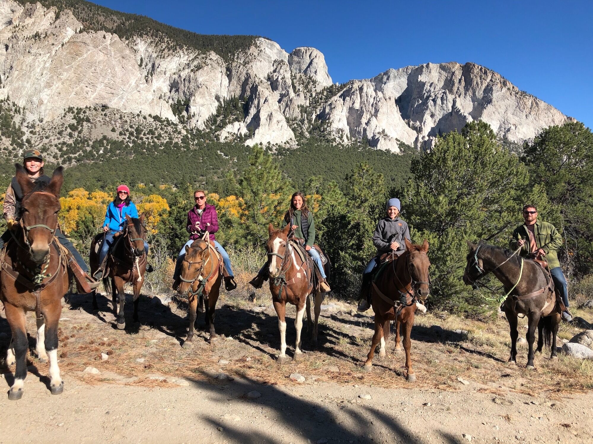 Picture of Horseback Riding 