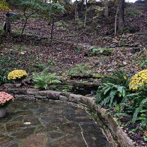 Gallery Photo 41