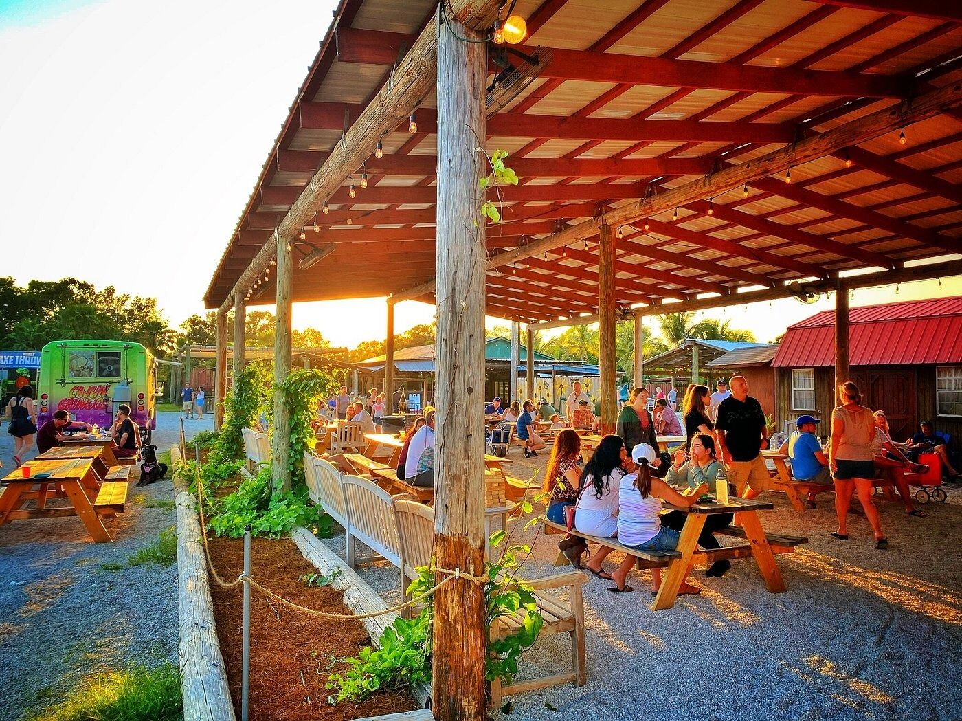 Picture of Crazy Dingo Brewing Company