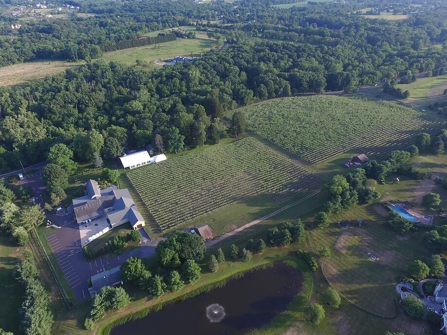 Picture of Crossing Vineyards and Winery