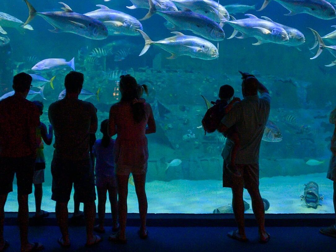 Picture of North Carolina Aquarium at Pine Knoll Shores