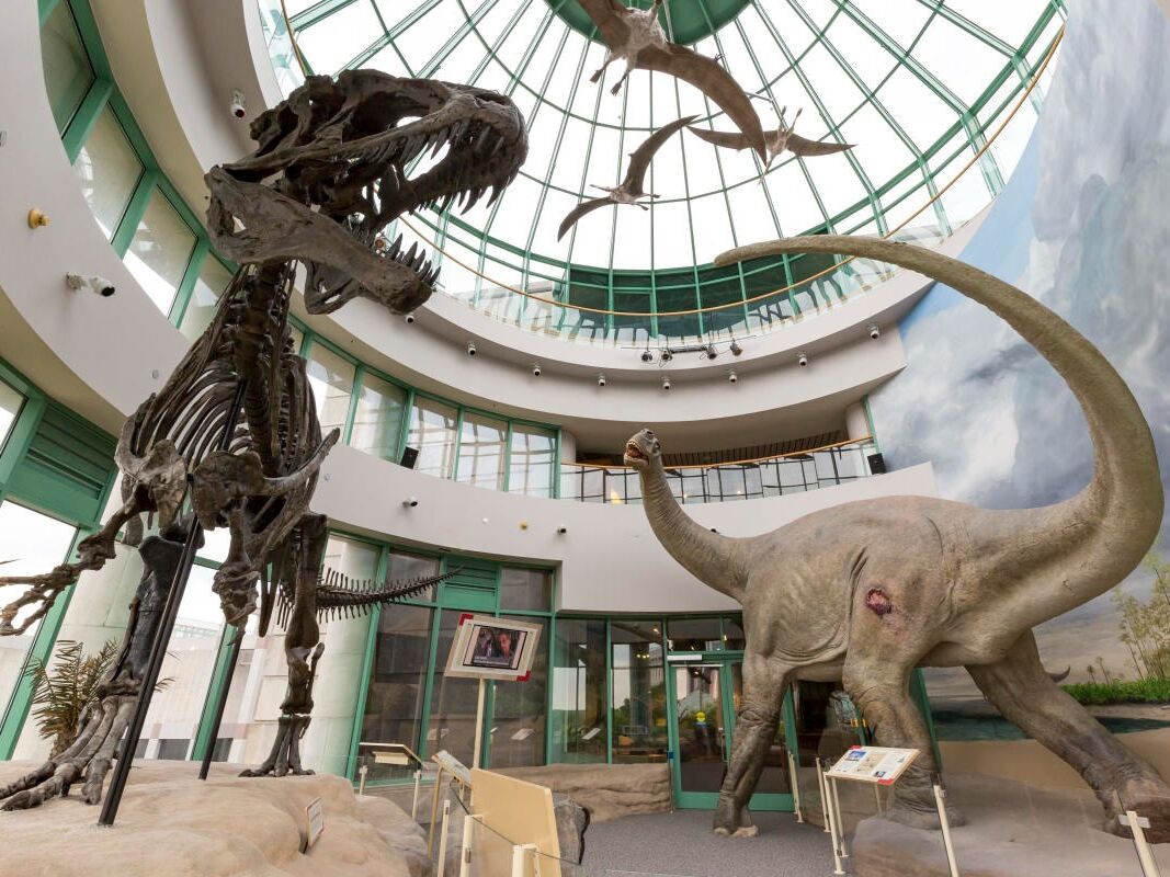 Picture of North Carolina Museum of Natural Sciences
