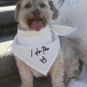 Gallery Photo 22