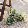 A Formal Tuscan-Inspired Wedding at Sunstone Winery in Santa Ynez, Californi
