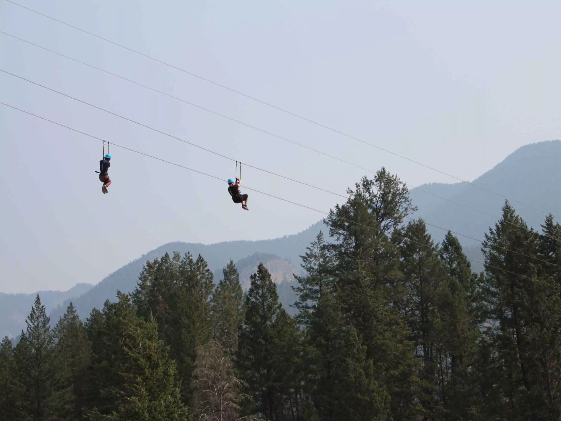 Picture of Valley Zipline Adventures
