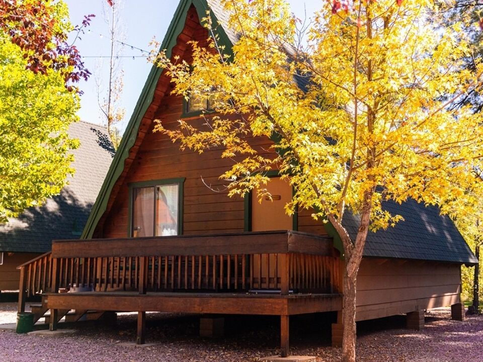 Picture of Cabins on Strawberry Hill