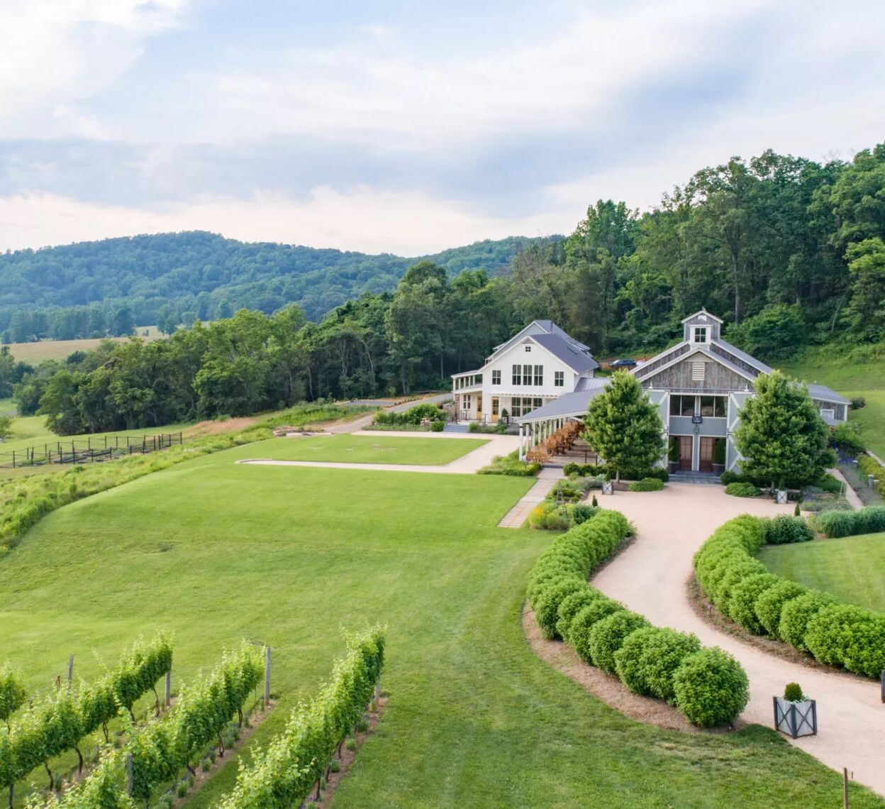 Picture of Wineries
