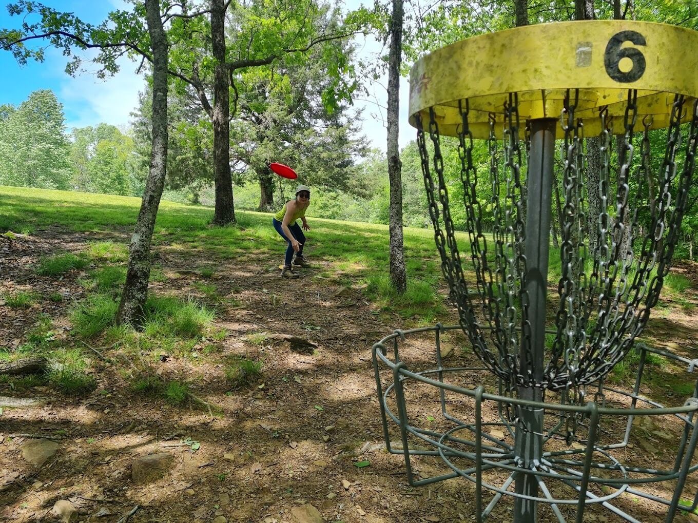 Picture of Disc Golf