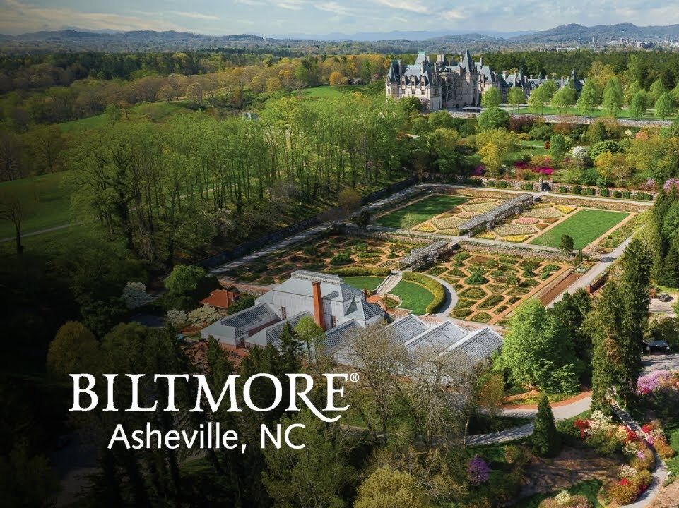 Picture of Comparing Biltmore on site properties