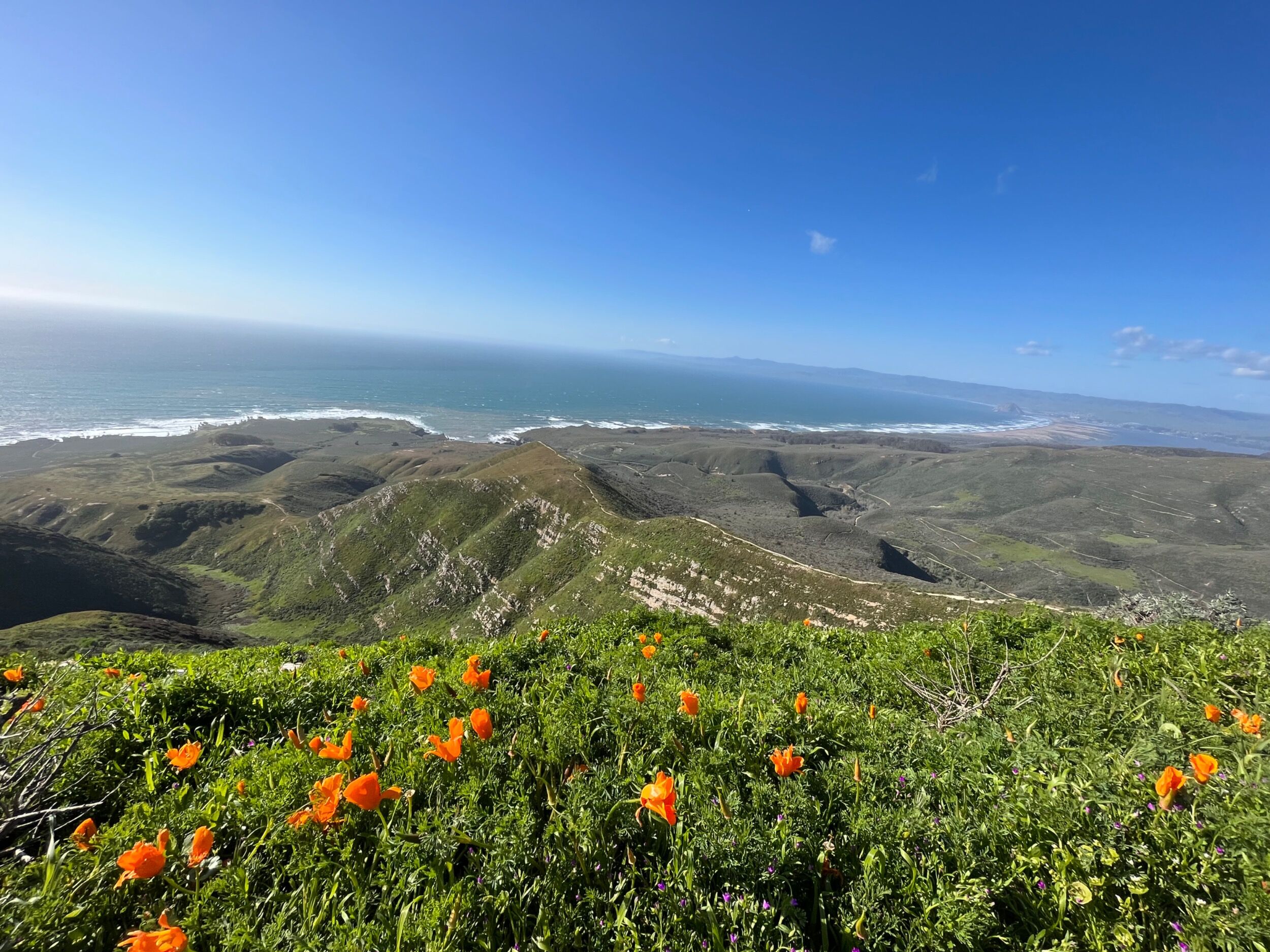 Picture of Montaña de Oro State Park