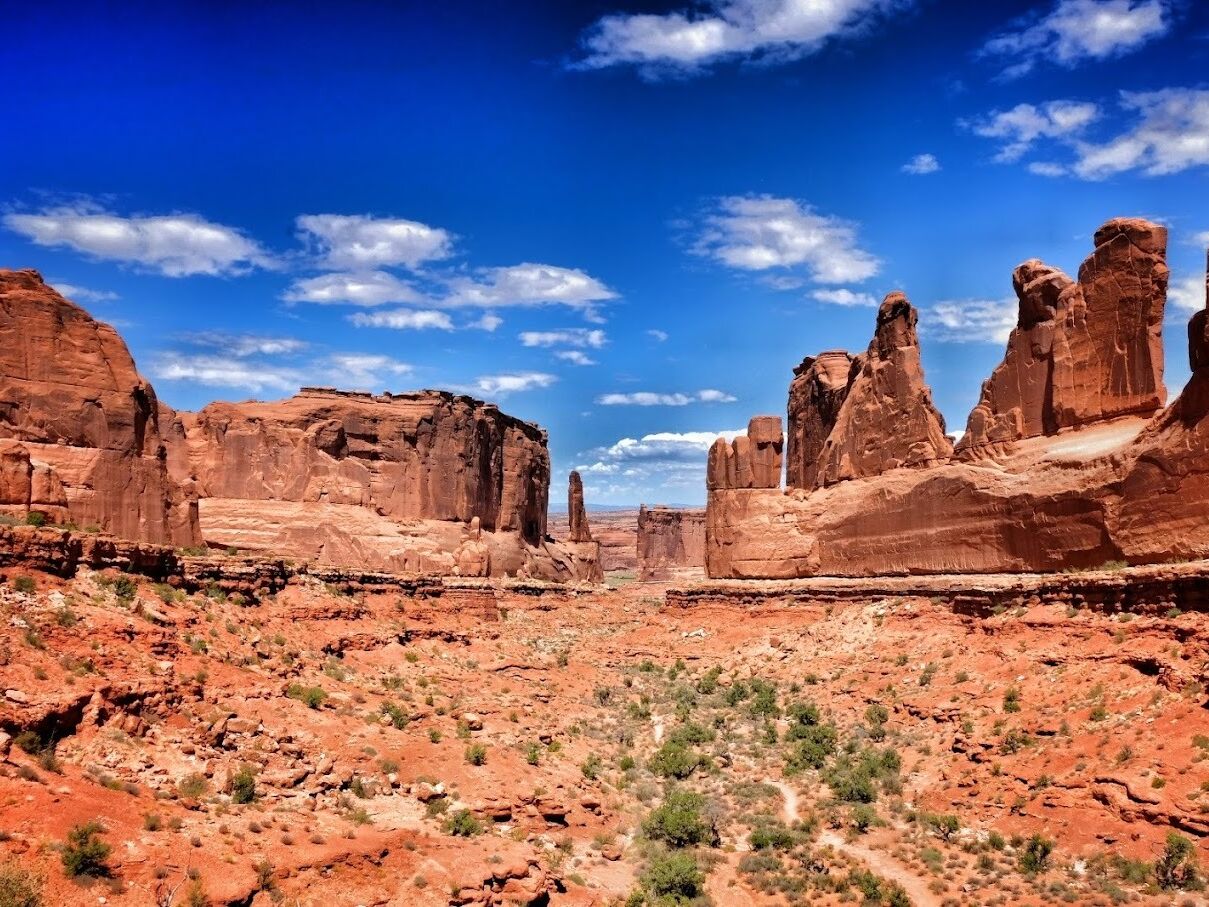 Picture of Arches National Park