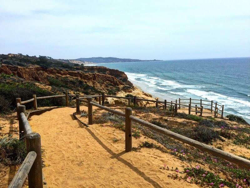 Picture of Torrey Pines State Reserve