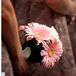 The Bridesmaid Bouquets