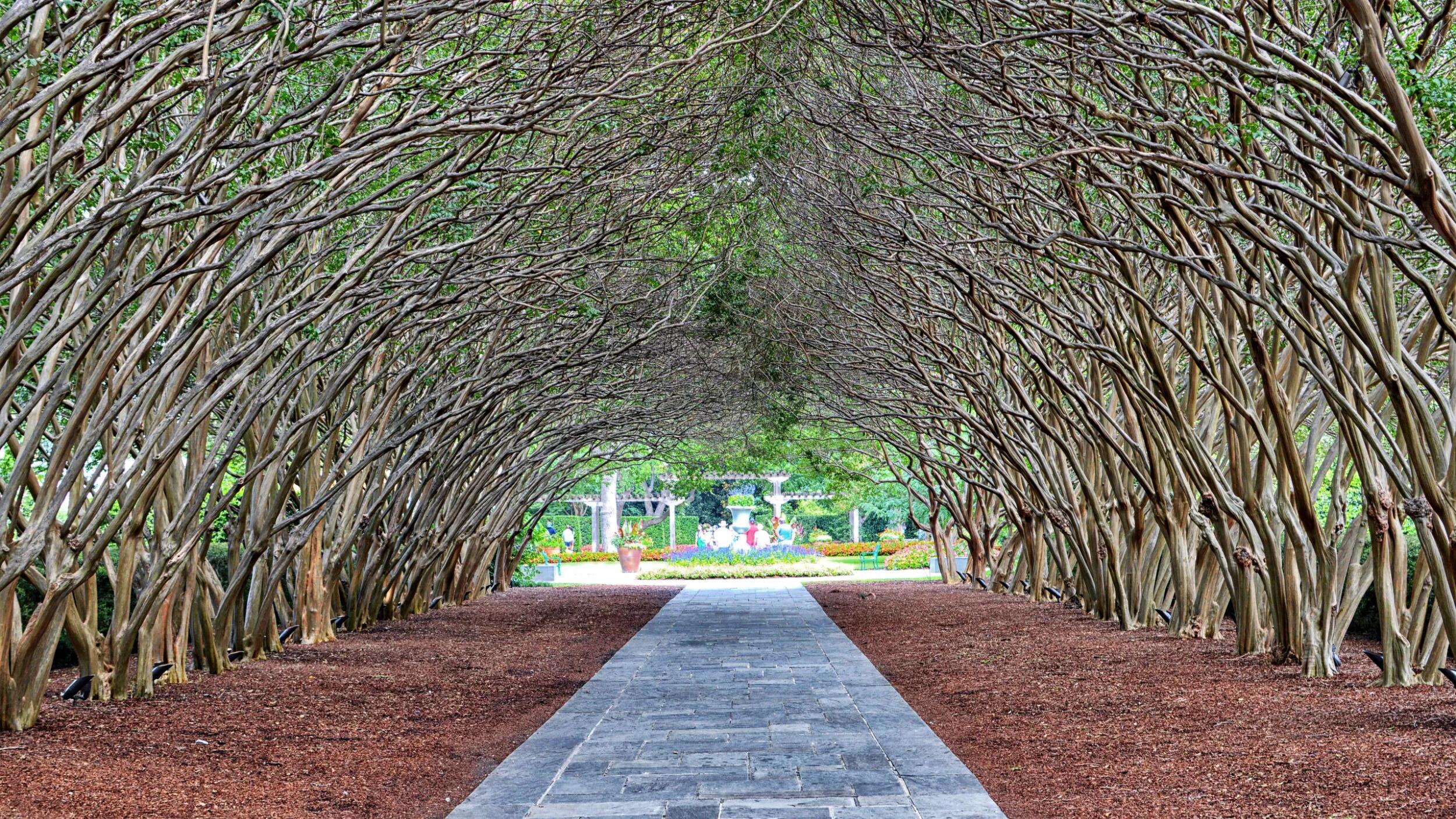 Picture of The Dallas Arboretum and Botanical Garden