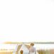 Sunset Portraits on Riverfront Pier in Charleston, South Carolina