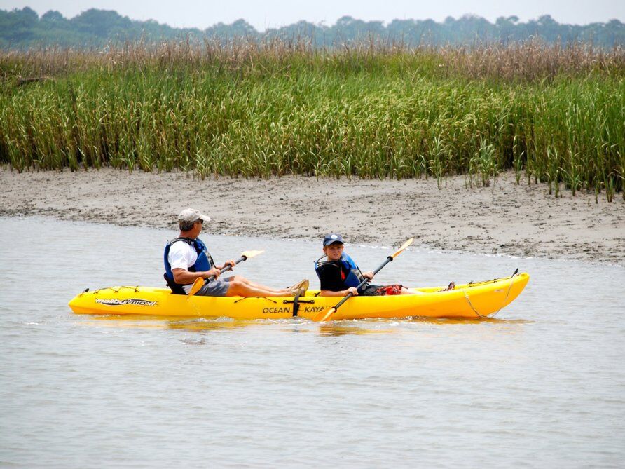 Picture of St. Johns Kayaks & Boat Tours