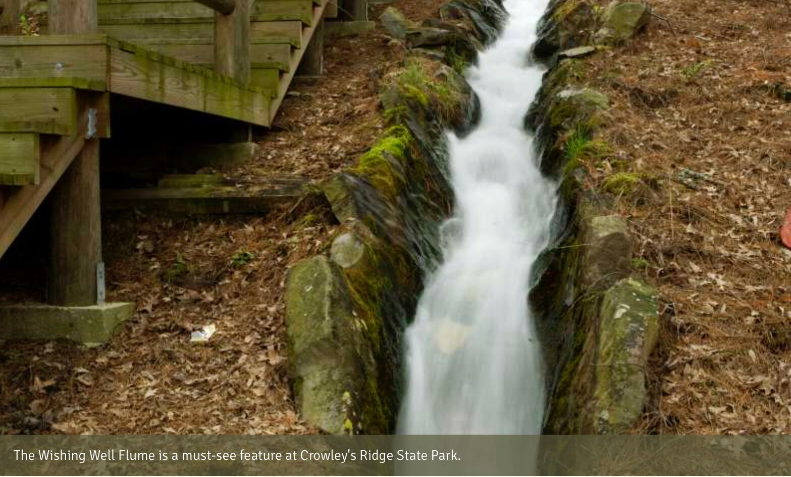 Picture of Hiking Trails