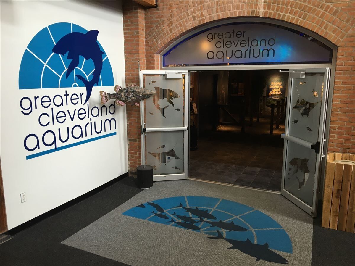 Picture of Greater Cleveland Aquarium