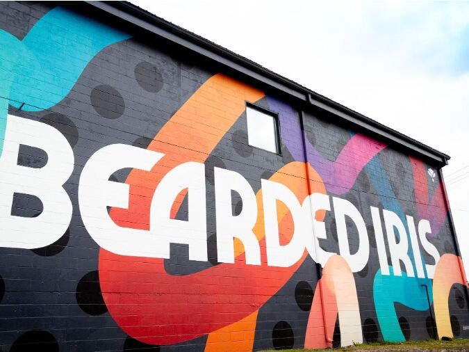Picture of Bearded Iris Brewing