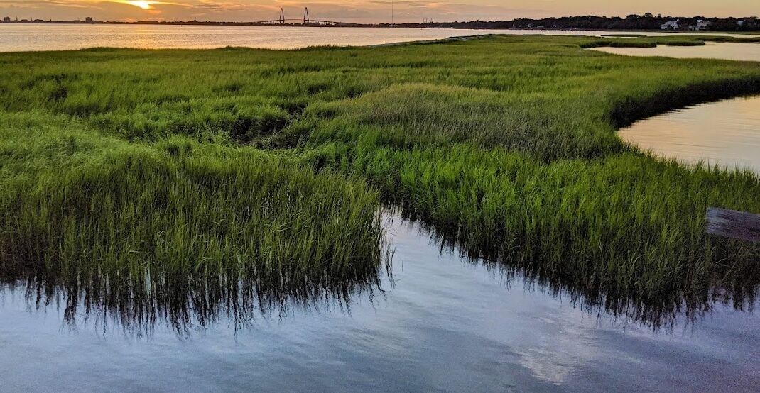 Picture of Pitt St Bridge