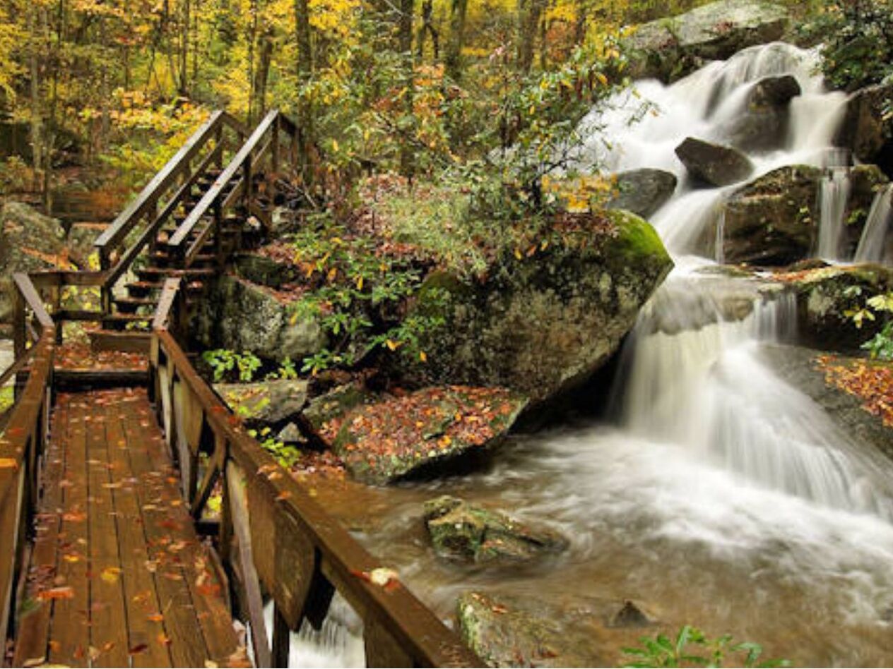 Picture of High Shoals Falls Loop