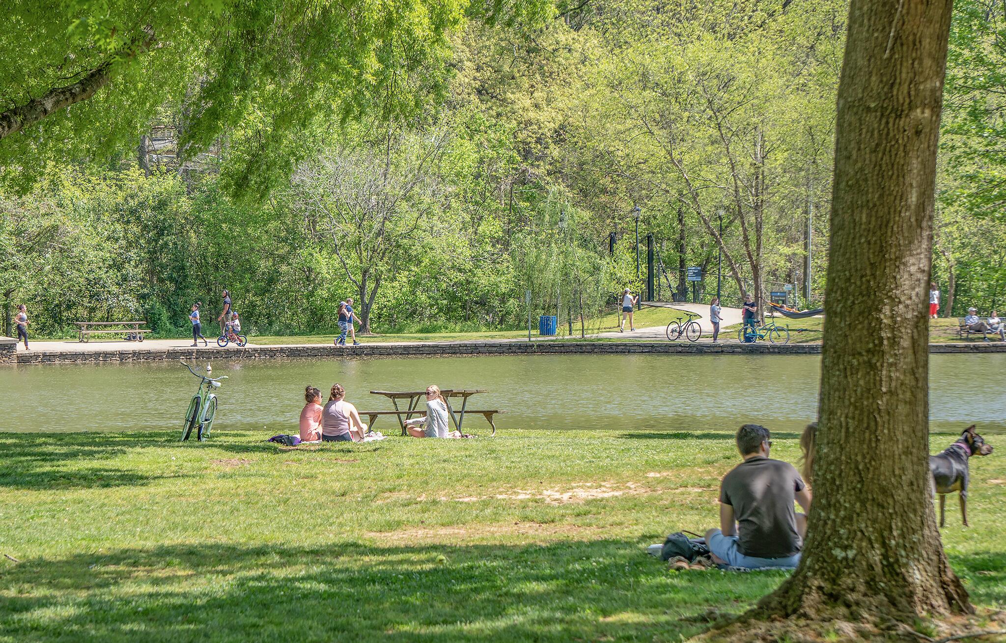 Picture of Freedom Park