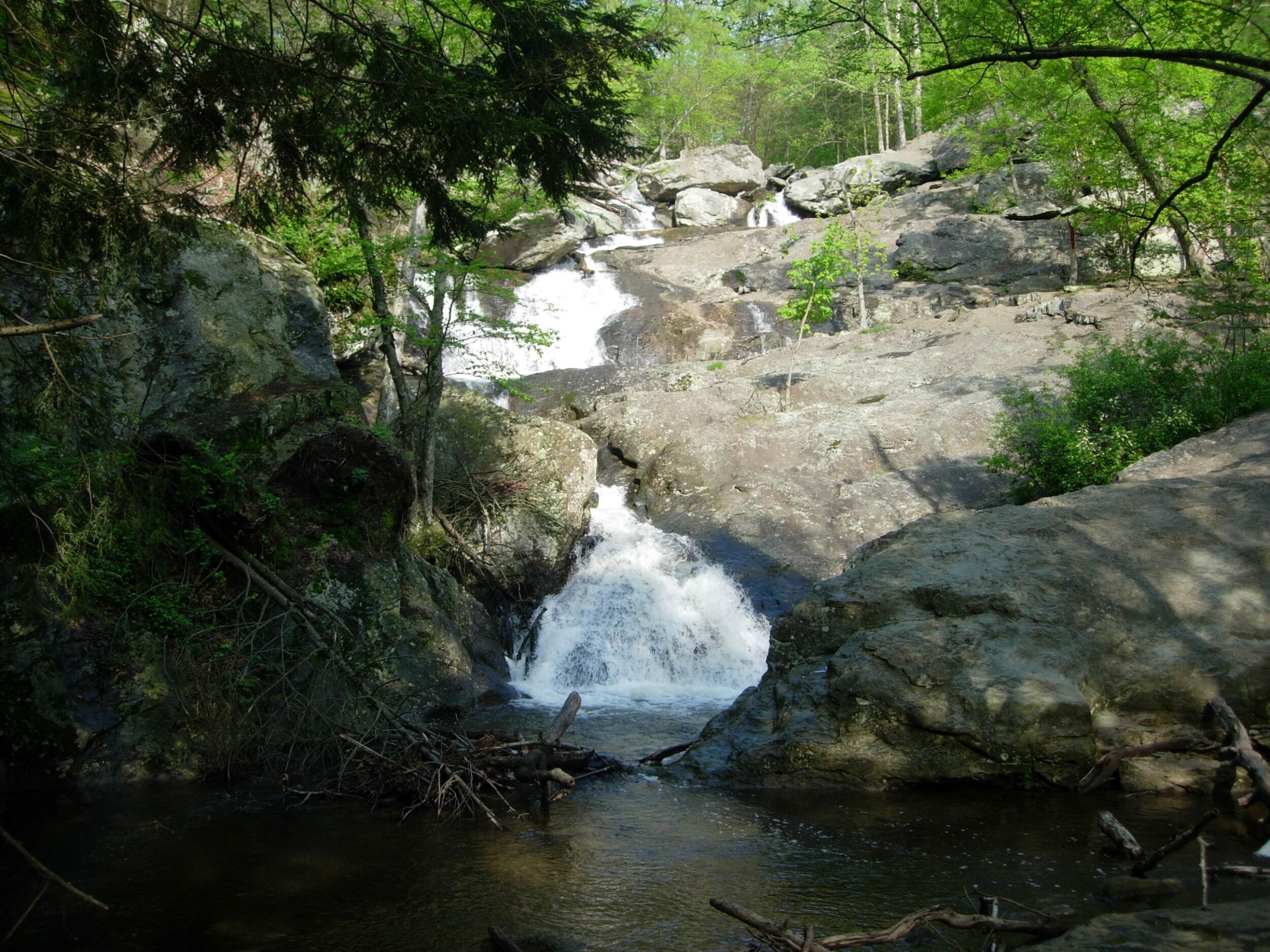 Picture of Cunningham Falls State Park