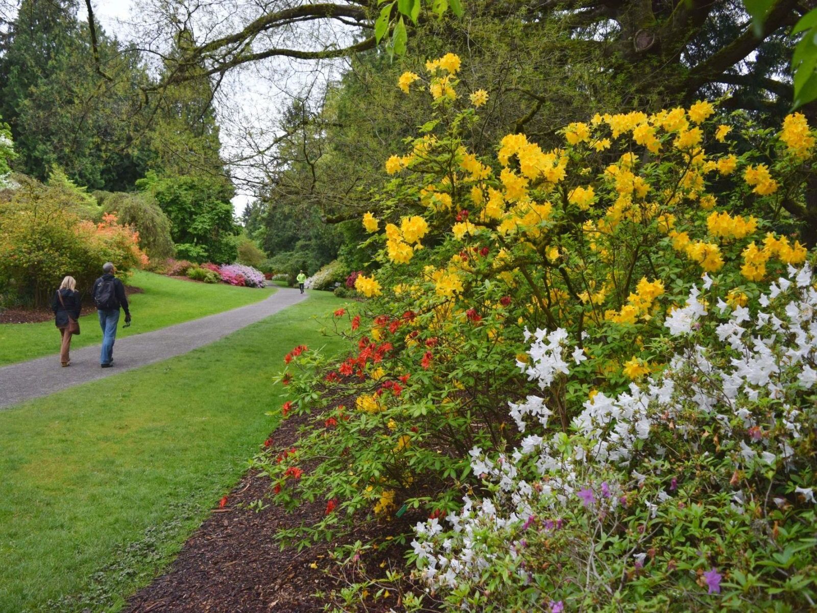 Picture of Washington Park Arboretum
