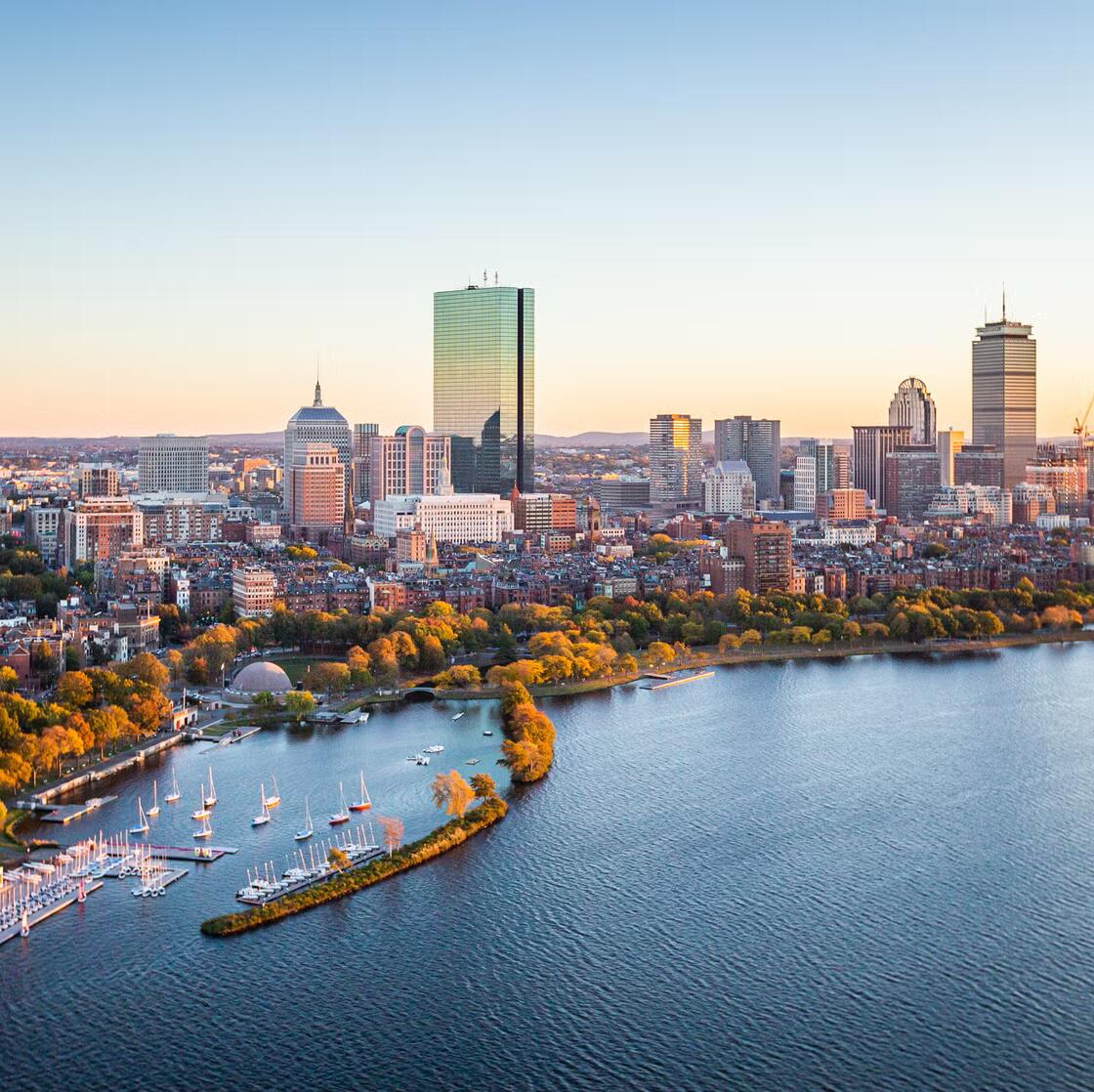 Picture of Check Out Meet Boston! 