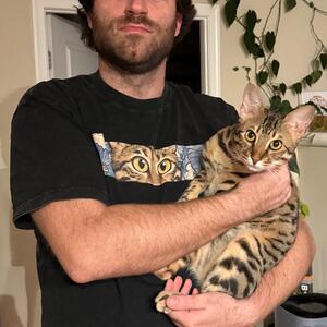 Gallery Photo 11