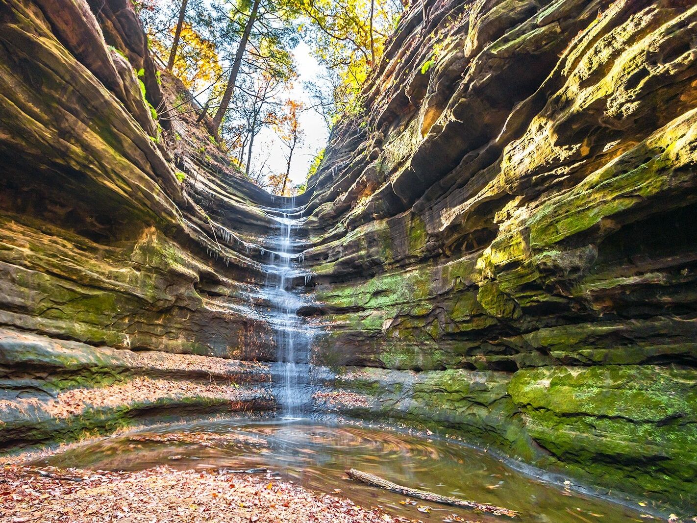 Picture of Starved Rock State Park