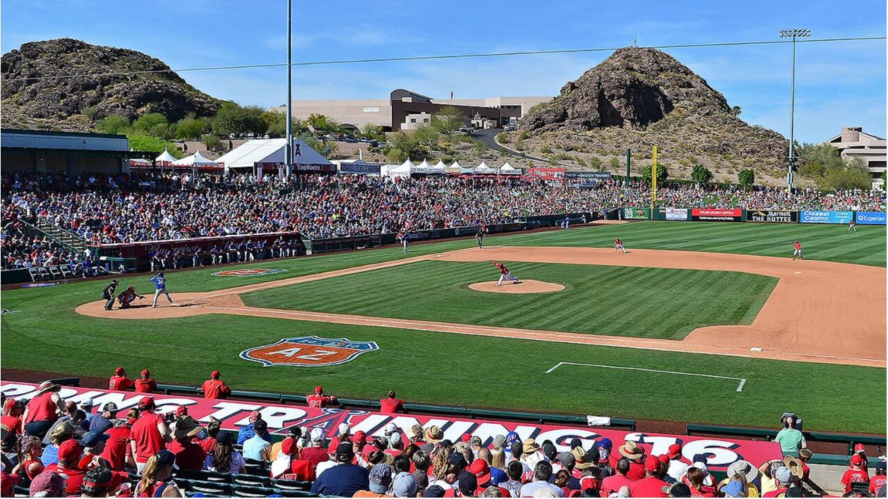 Picture of Spring Training Game