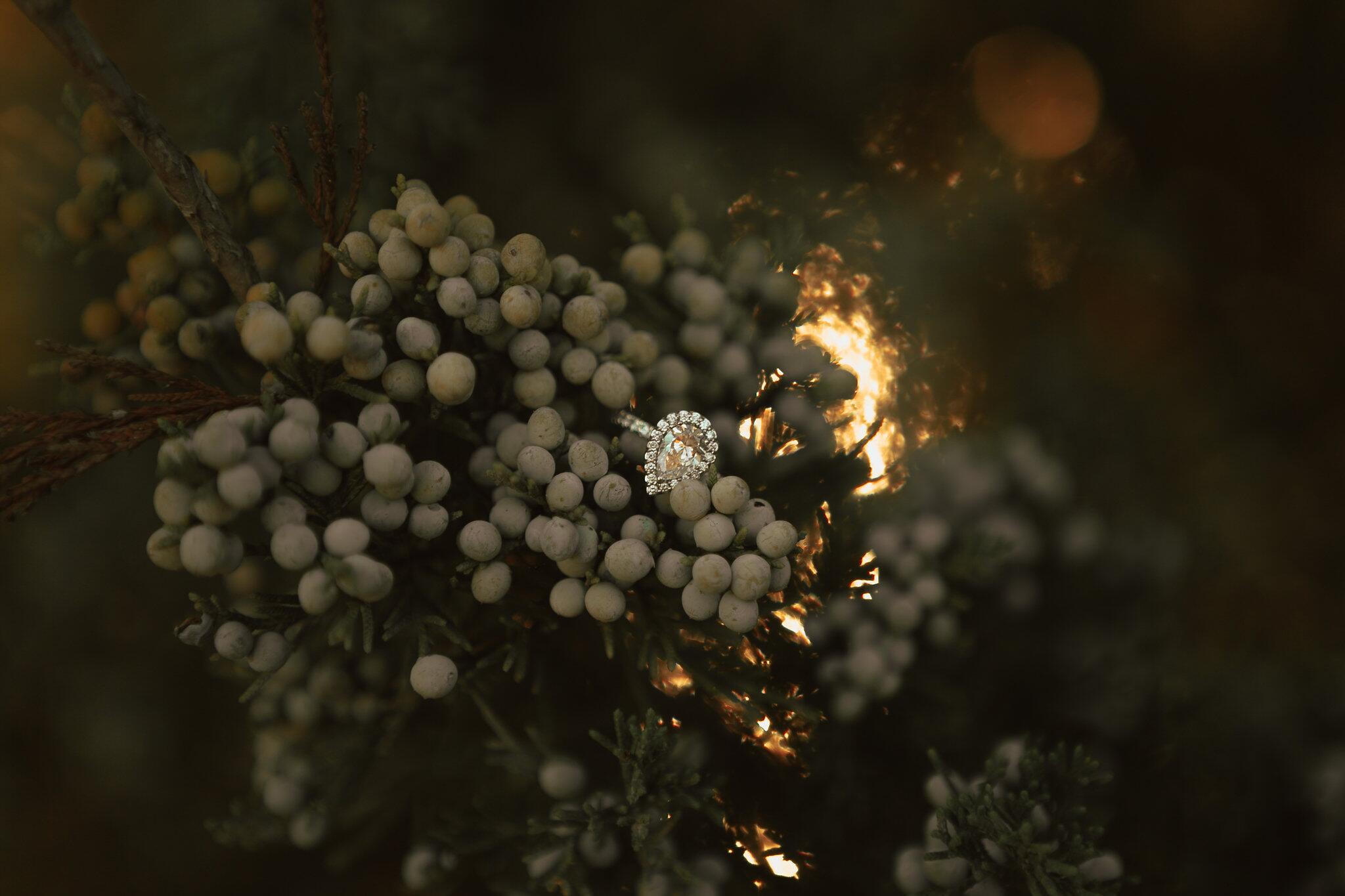 Album Photo 16