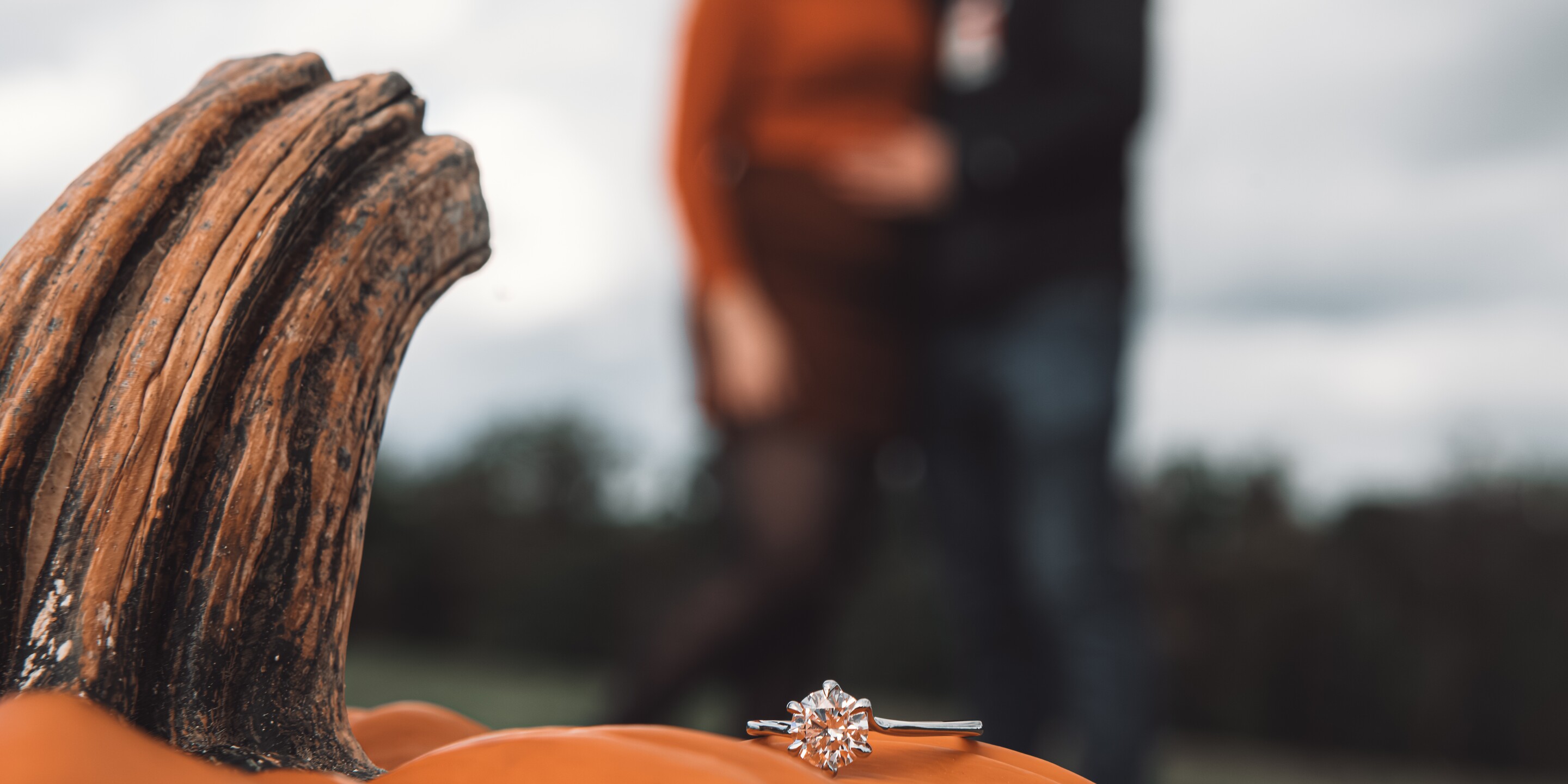 Erin & Jake Home Page Banner