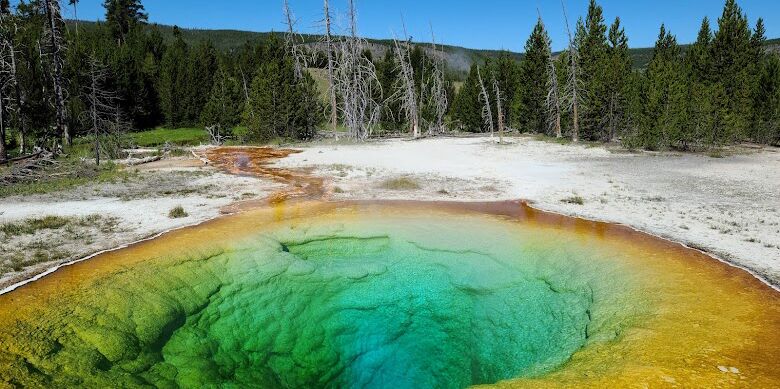 Picture of Yellowstone National Park
