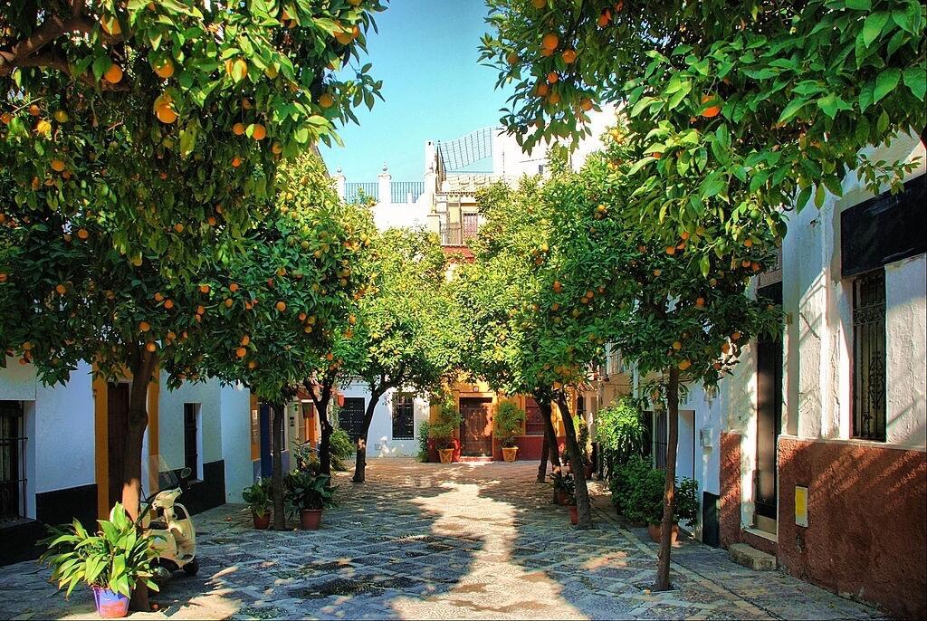Picture of Barrio de Santa Cruz