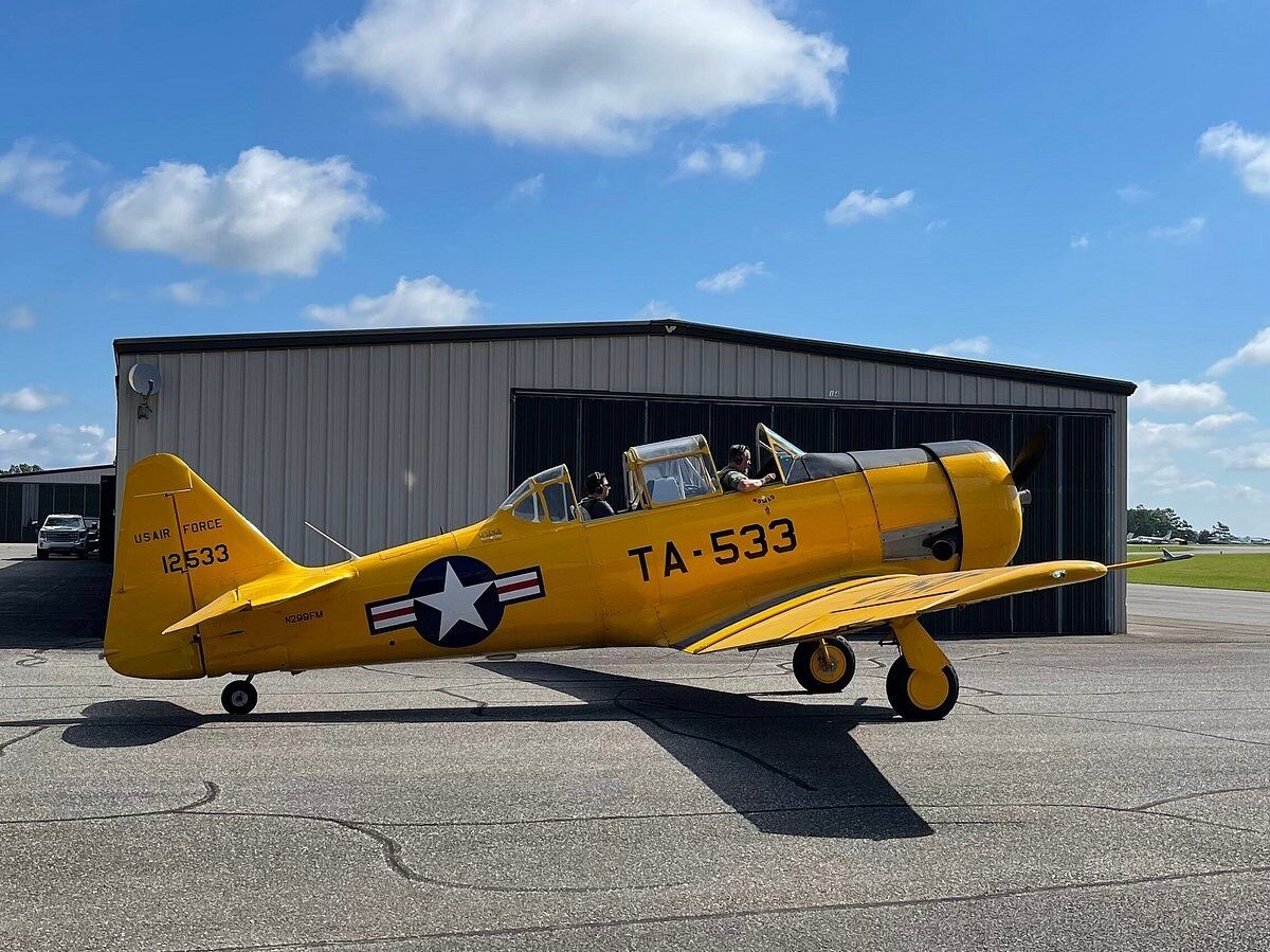 Picture of Vintage Flights
