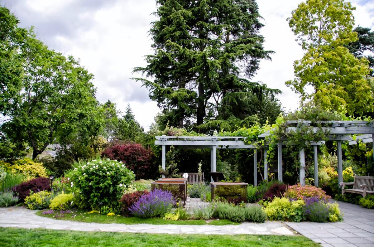 Picture of Bellevue Botanical Garden