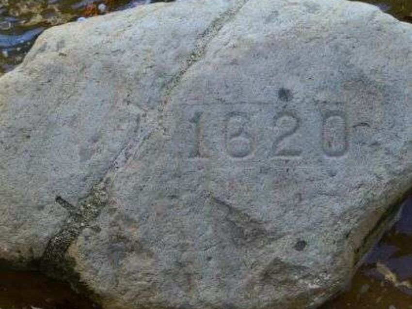 Picture of Plymouth Rock