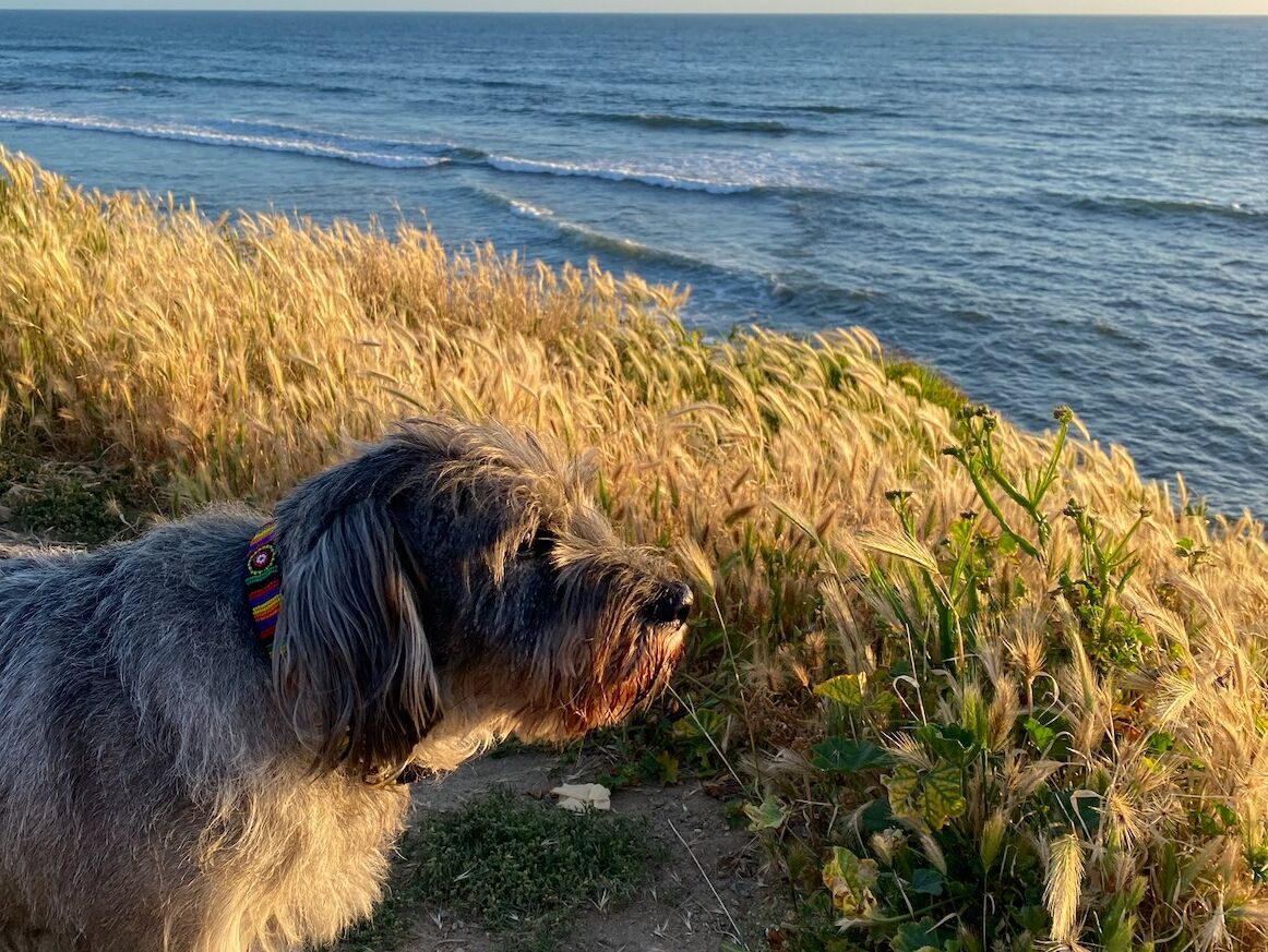 Picture of 6:00 PM Sunset picnic at Calumet