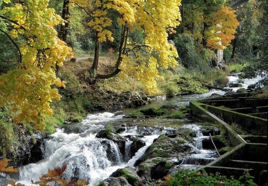 Picture of Brewery Park at Tumwater Falls