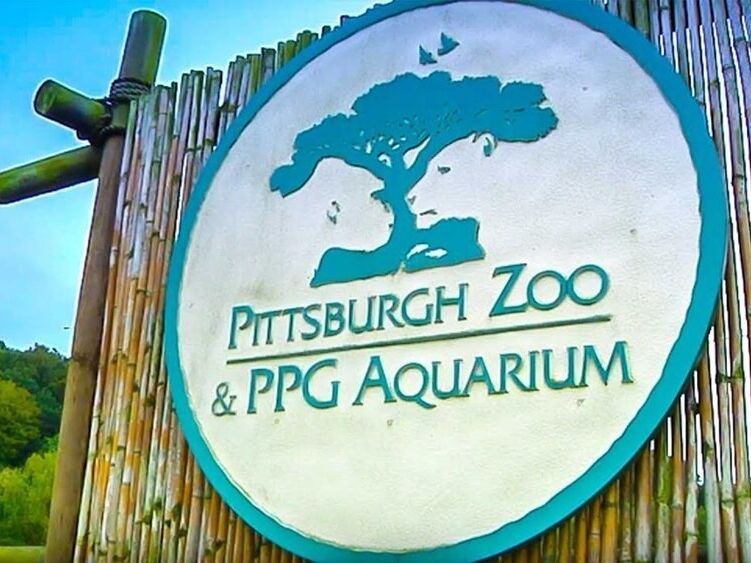 Picture of Pittsburgh Zoo & Aquarium